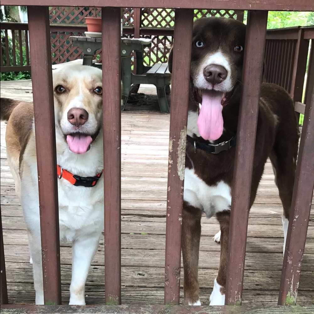 Meet your Posher, Kiysha